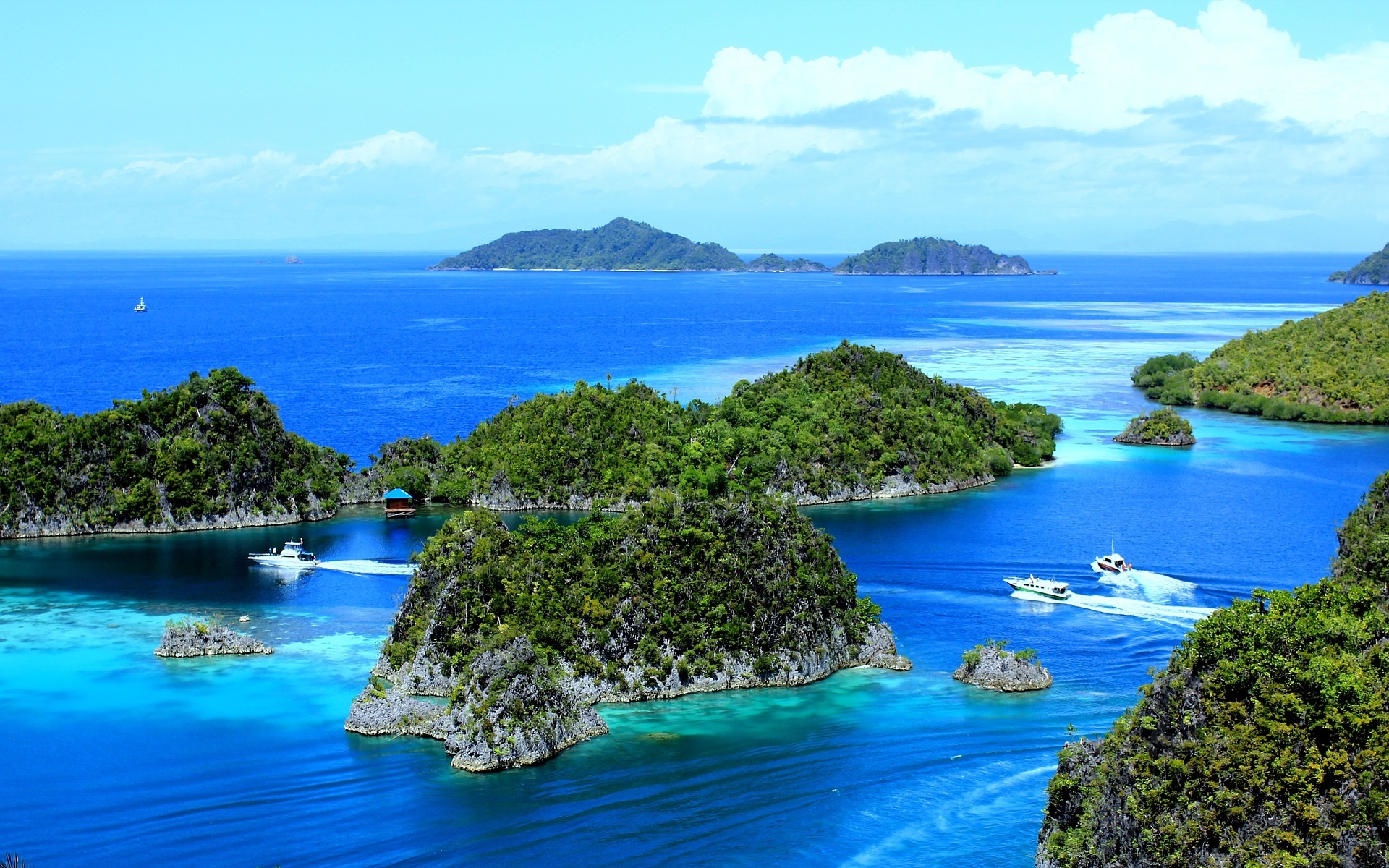 Raja Ampat Islands: An Idyllic Tropical Paradise • PurelyThemes